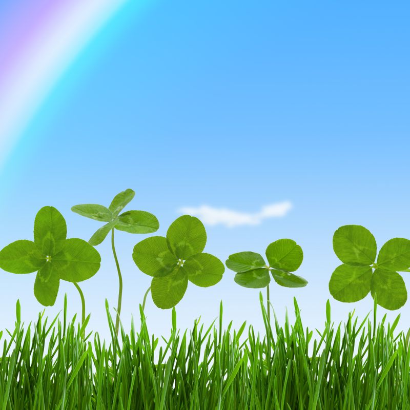 Magikal powder of fame and luck  - by Manuela Fasoli - 2024