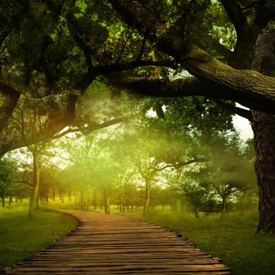 LOCHK -TÜRÖFFNUNG DES MAGISCHEN PFADES -  Manuela Fasoli - 2022