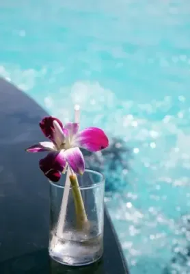 Essenz für Mich - Argandini Titisari