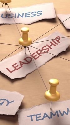 MAGIK POWDER OF LEADERSHIP - by Manuela Fasoli - 2024