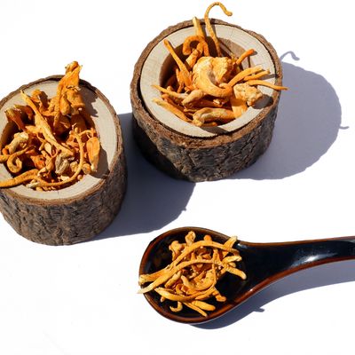 Cordyceps Pilz Reiki - Energetischer Stimmungsaufheller - Silvia Opali Dentler - HANDBUCH IN DEUTSCHER SPRACHE Cordyceps Pilz Reiki - Energetischer Stimmungsaufheller - Silvia Opali Dentler - HANDBUCH IN DEUTSCHER SPRACHE