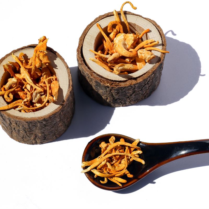 Cordyceps Pilz Reiki - Energetischer Stimmungsaufheller - Silvia Opali Dentler - HANDBUCH IN DEUTSCHER SPRACHE