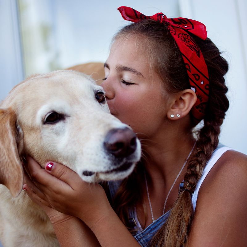 Tierliebe Engel - Reiki - Silvia Opali Dentler - HANDBUCH IN DEUTSCHER SPRACHE
