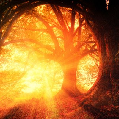 MYSTISCHE FUSION ENERGIE TECHNOLOGIE -  Hari Andri Winarso - 2024