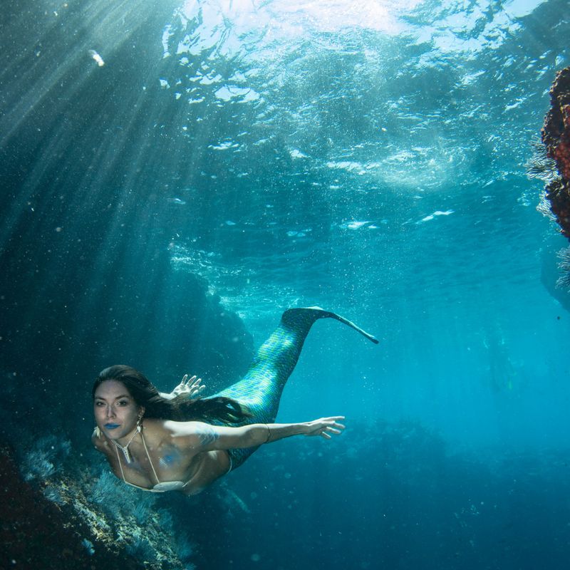 DIE ENERGIE DER MEERJUNGFRAU ODER DIE SPIEGLUNGEN DEINER SEELE - Ellen Dana'S Stamer und Tanja Sarah'Shan Wellmann - HANDBUCH IN DEUTSCHER SPRACHE