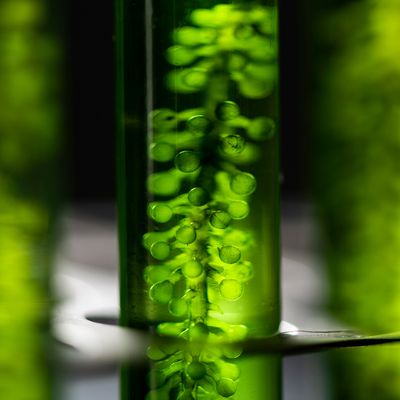 Bio Life Kraftstoff ™ - Mariah Windsong-Couture - HANDBUCH IN DEUTSCHER SPRACHE Bio Life Kraftstoff ™ - Mariah Windsong-Couture - HANDBUCH IN DEUTSCHER SPRACHE