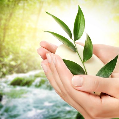 Super Bio Magie - SUPER BIO MAGIC - Ekaterina Fedosova - HANDBUCH IN DEUTSCHER SPRACHE