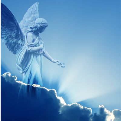 Die Engel des Rückschlages ® - Angelica Saerbeck - 2023 - HANDBUCH IN DEUTSCHER SPRACHE Die Engel des Rückschlages ® - Angelica Saerbeck - 2023 - HANDBUCH IN DEUTSCHER SPRACHE