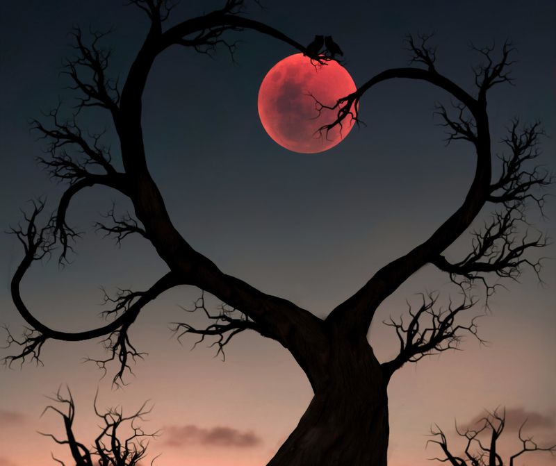 MAGICAL WAXING MOON COCKTAIL ELIXIR - by Manuela Fasoli - 2024