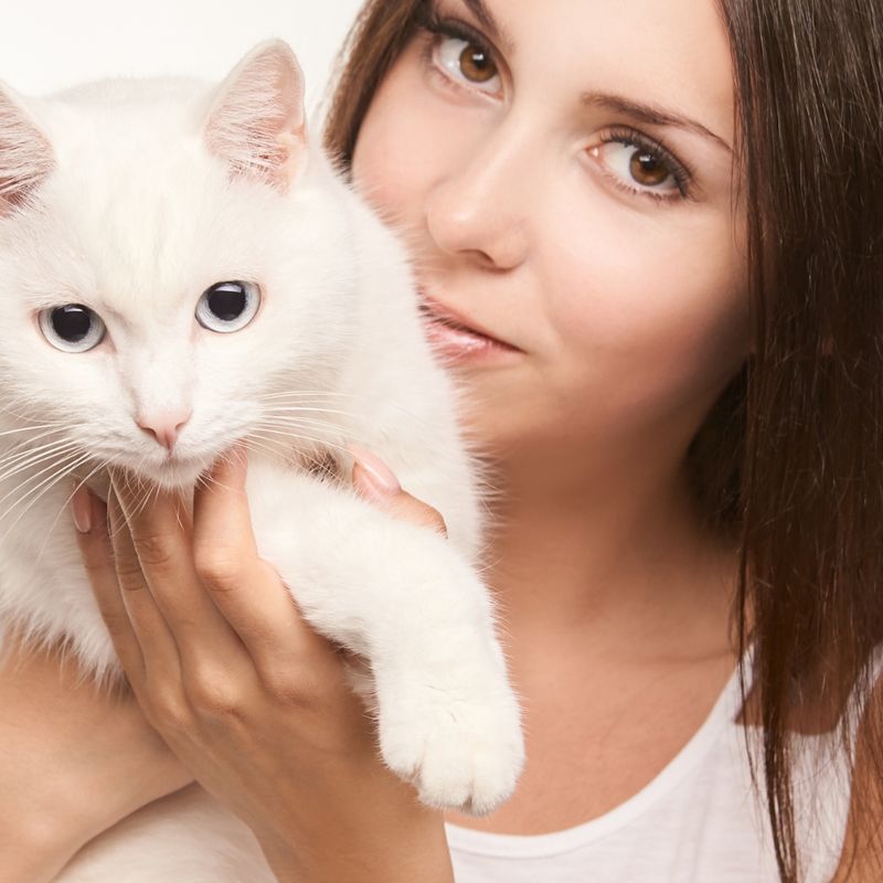 Lady Cat - Ekaterina Fedosova -  ?? Deutsch