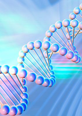 The DNA Alignment Activation - DNA Functions for Healing & Spiritual Awakening - by Jay M. Burrell The DNA Alignment Activation - DNA Functions for Healing & Spiritual Awakening - by Jay M. Burrell