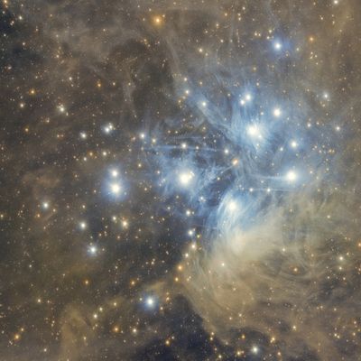 Das Plejadisches Synthese - Reiki - Ellen Dana'S Stamer und Tanja Sarah'Shan Wellmann - HANDBUCH IN DEUTSCHER SPRACHE