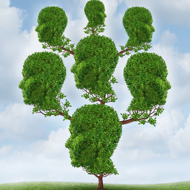 MAGICAL ELIXIR OF ROD CLEANING - by Manuela Fasoli - 2024