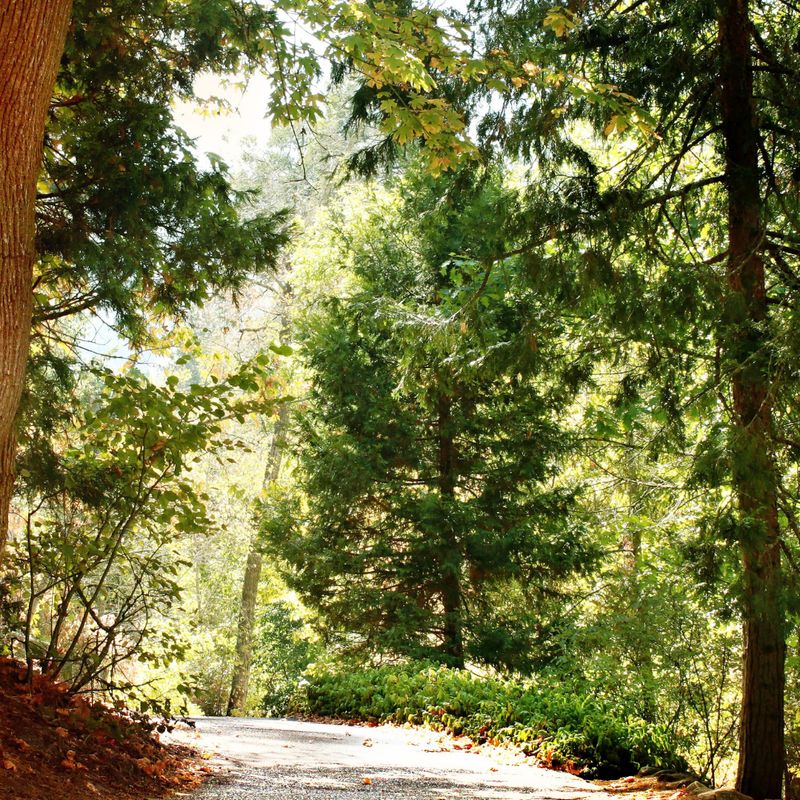 ERDENLICHT - Angela Grötsch