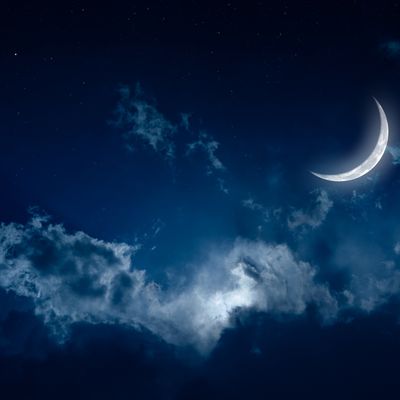 Ätherische Bachblütenmischung für die Nacht - Silvia Opali Dentler - HANDBUCH IN DEUTSCHER SPRACHE