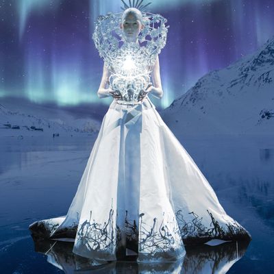 Sternenkönigin Reiki - Star Queen Reiki - Ekaterina Fedosova -  HANDBUCH IN DEUTSCHER SPRACHE