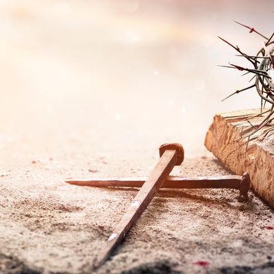 Erlösung durch die Wundmale Jesu - Angelica Saerbeck - HANDBUCH IN DEUTSCHER SPRACHE