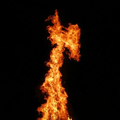 Das Feen-Feuer - Angelica Saerbeck - HANDBUCH IN DEUTSCHER SPRACHE