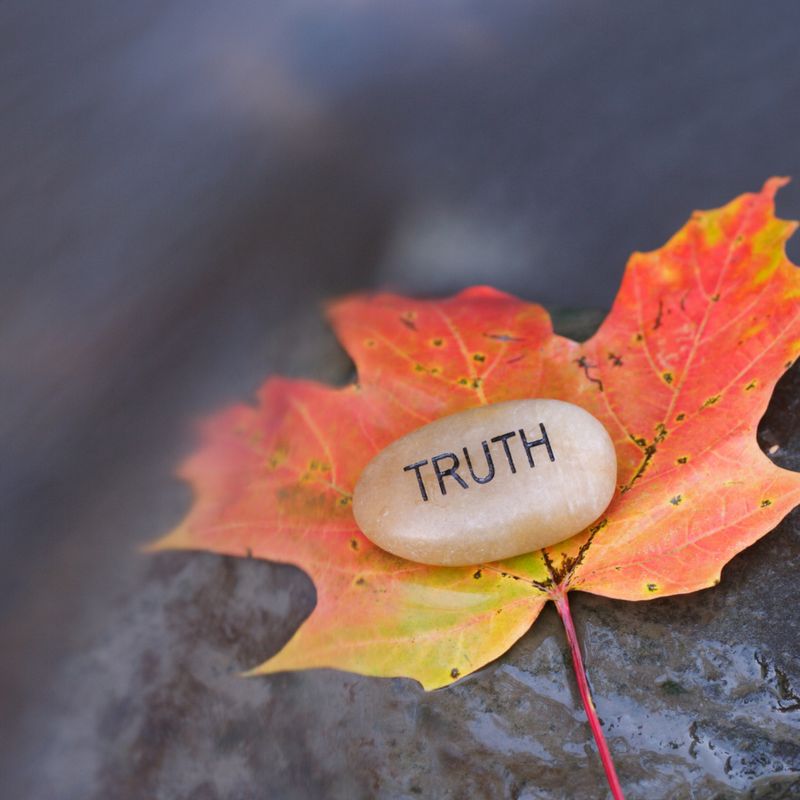 INNERE WAHRHEIT REIKI - Mariah Windsong-Couture -  HANDBUCH IN DEUTSCHER SPRACHE