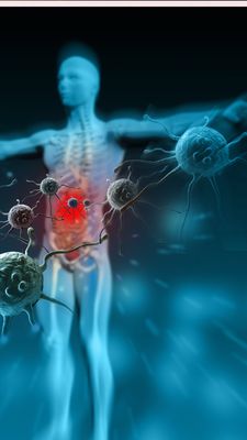 Energetische diplomatische Immunität - Markus Zeitlhofer Energetische diplomatische Immunität - Markus Zeitlhofer