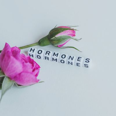 HORMONKONTROLLE ERMÄCHTIGUNG​​​ -  Hari Andri Winarso