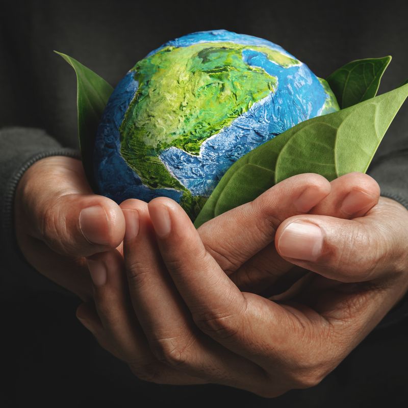 EARTH ENERGY BOOST -  Stephanie Brail