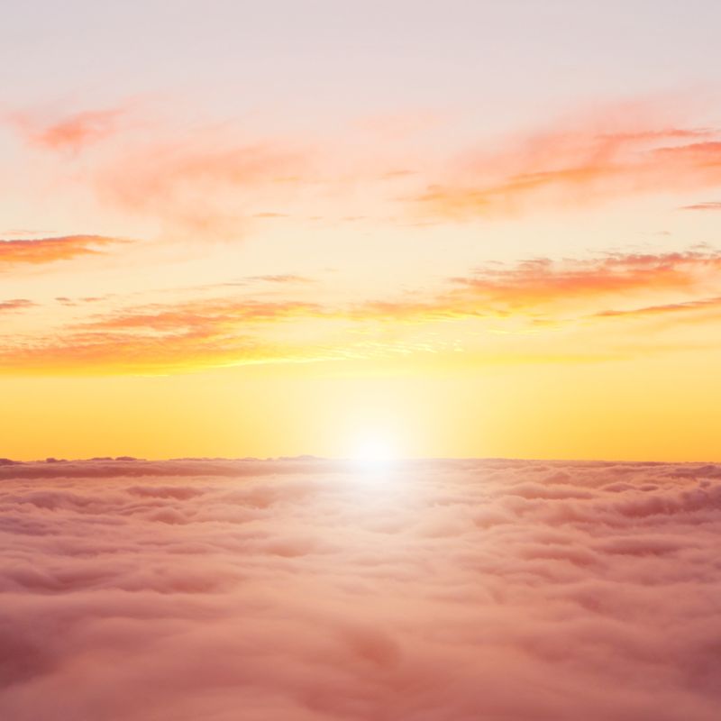 RÜCKFÜHRUNG IN DIE GÖTTLICHE ORDNUNG - Silvia Opali Dentler - HANDBUCH IN DEUTSCHER SPRACHE RÜCKFÜHRUNG IN DIE GÖTTLICHE ORDNUNG - Silvia Opali Dentler - HANDBUCH IN DEUTSCHER SPRACHE