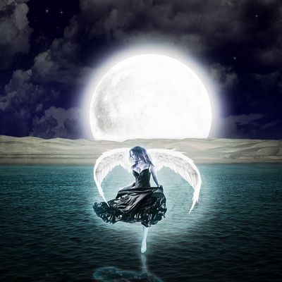 MAGICUM ELIXIR OF DANGERS PROTECTION ESSENCE - by Manuela Fasoli - 2024 MAGICUM ELIXIR OF DANGERS PROTECTION ESSENCE - by Manuela Fasoli - 2024