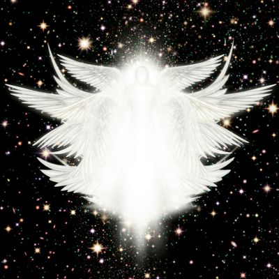 The Seraphim Salvation - Das Seelenheil der Seraphim - Ellen Dana'S Stamer und Tanja Sarah'Shan Wellmann - HANDBUCH IN DEUTSCHER SPRACHE