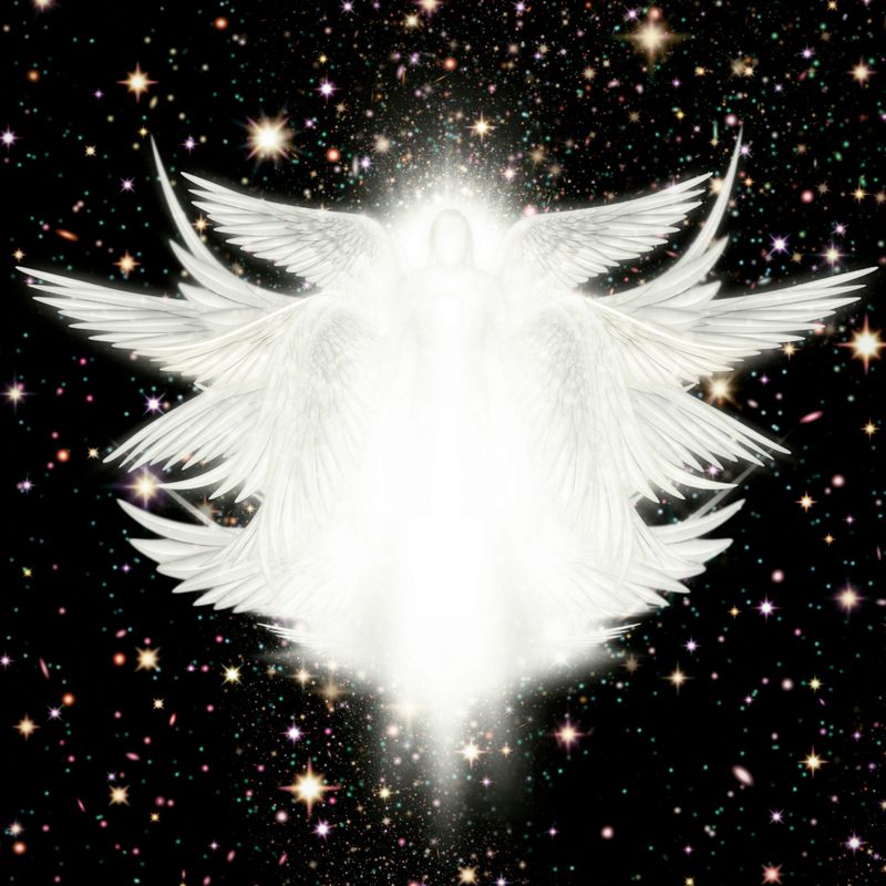 The Seraphim Salvation - Das Seelenheil der Seraphim - Ellen Dana'S Stamer und Tanja Sarah'Shan Wellmann - HANDBUCH IN DEUTSCHER SPRACHE