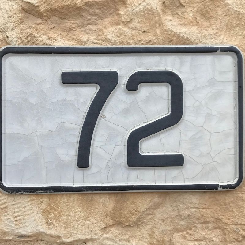 Die 72 Lichtheiler - Manuela Fasoli Die 72 Lichtheiler - Manuela Fasoli