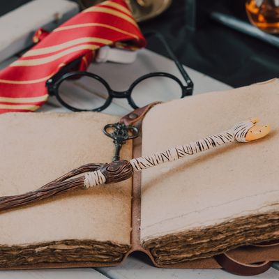 Merlin`s Magische Zaubersprüche - Manuela Fasoli Merlin`s Magische Zaubersprüche - Manuela Fasoli