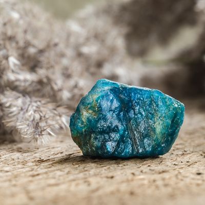 Theta Flush - Manuela Fasoli