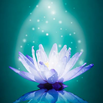 Weiße Magie Karma und Geist Reinigungszauber Flush - Manuela Fasoli - 2020