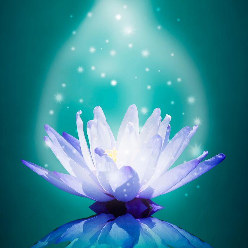 Weiße Magie Karma und Geist Reinigungszauber Flush - Manuela Fasoli - 2020