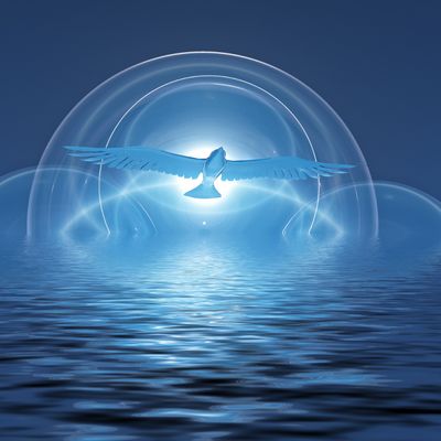 Ich sehe die wahren Seelen - Manuela Fasoli - 2020