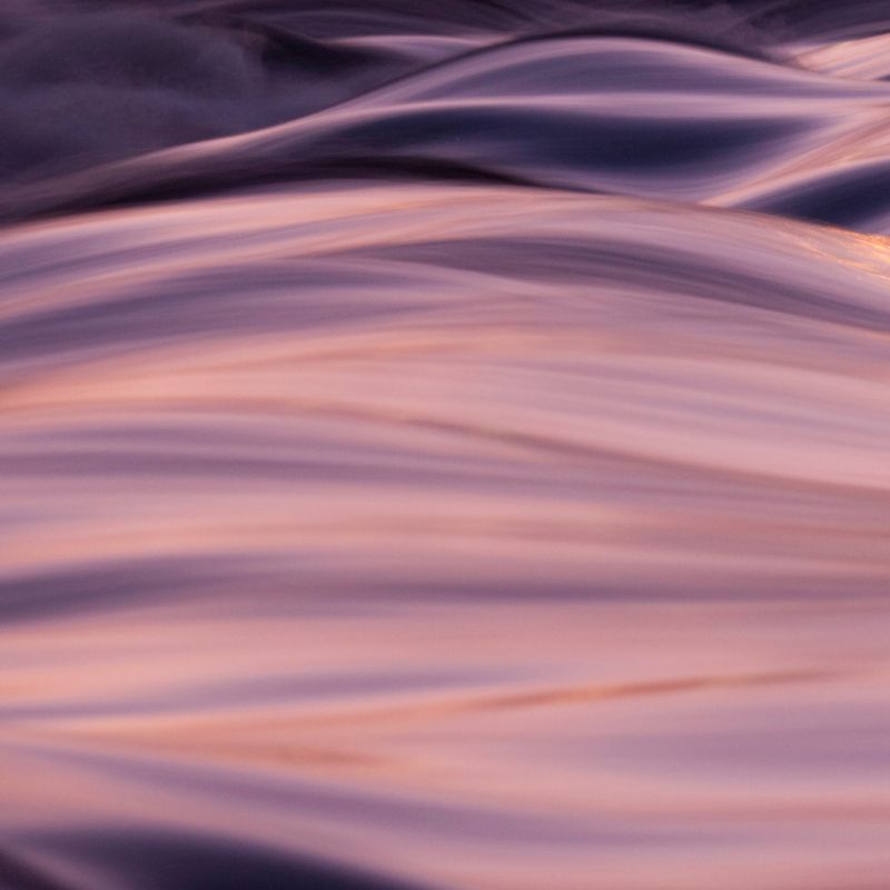 OBA'S LIEBEVOLLER FLOW - Manuela Fasoli - 2020