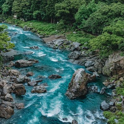 Emotionale Zeitlinie Reprogrammierung Fluss - Manuela Fasoli - 2020 Emotionale Zeitlinie Reprogrammierung Fluss - Manuela Fasoli - 2020