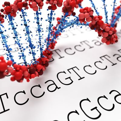 Entfernen von DNA Karma - Manuela Fasoli - 2020 Entfernen von DNA Karma - Manuela Fasoli - 2020