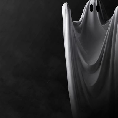 GEISTERJÄGER UND HELFER ENERGIE -  Manuela Fasoli