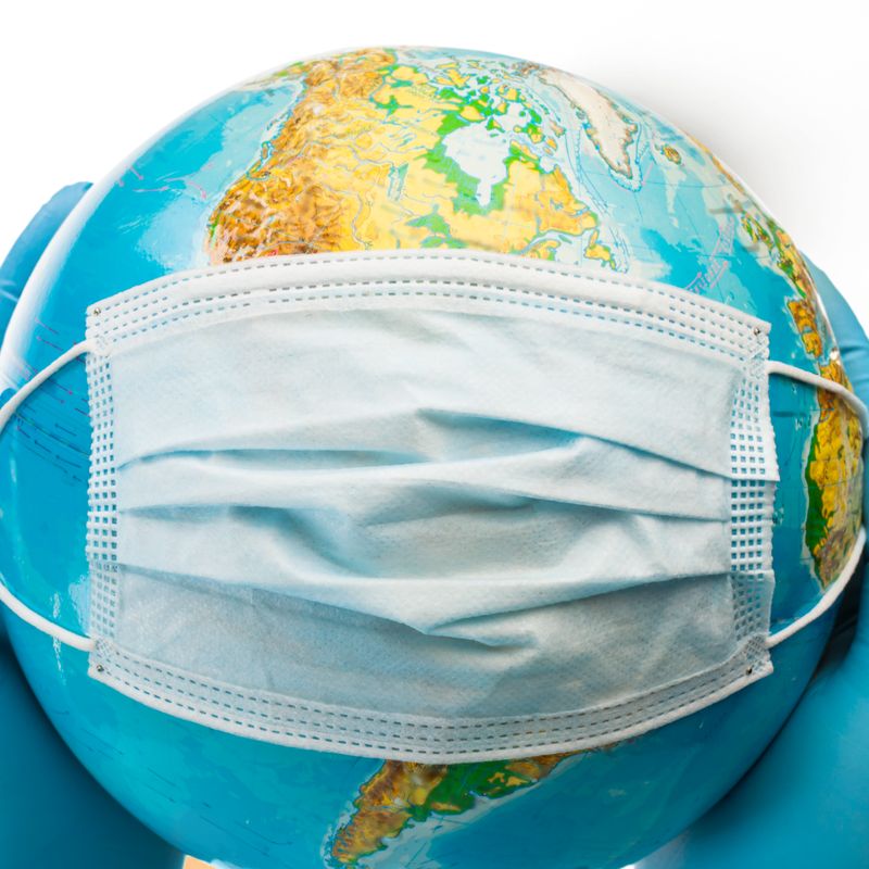 Schutz Flush vor Pandemie Erkrankungen - Manuela Fasoli - 2020