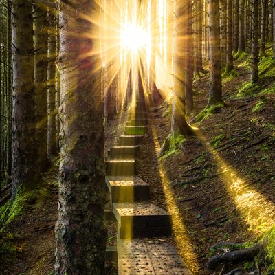 Öffnen des Pfades von Antahkarana Reiki - Open the Path of Antahkarana Reiki - Manual in English or in German