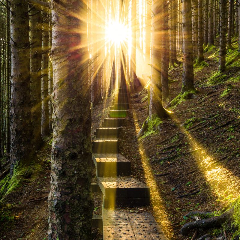 Öffnen des Pfades von Antahkarana Reiki - Open the Path of Antahkarana Reiki - Manual in English or in German Öffnen des Pfades von Antahkarana Reiki - Open the Path of Antahkarana Reiki - Manual in English or in German