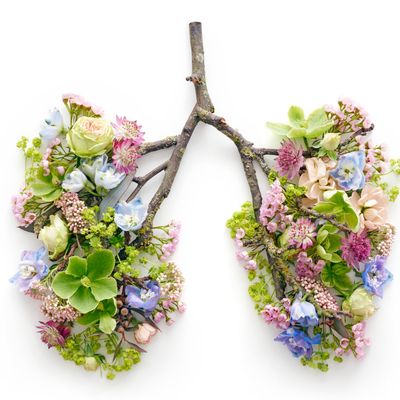 Starke Lungen Heilung und klärendes Reiki - Lung High Energy Healing Reiki - Manual in English or in German