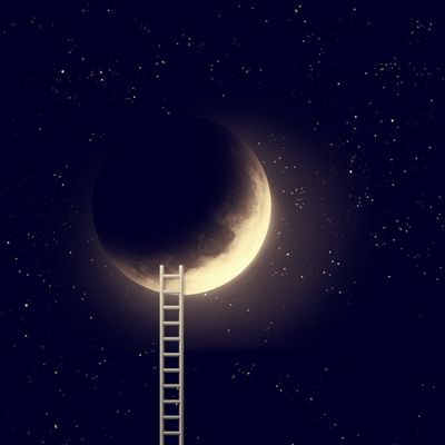 Traumdeutung Flush - Manuela Fasoli