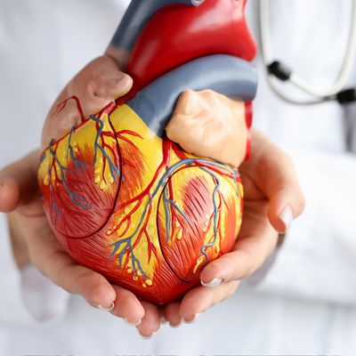 Linderung des Vorhofflimmerns - Manuela Fasoli - 2020