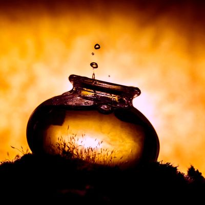 Hohe 999 Lichtreinigung - Manuela Fasoli - 2023 - Manual in English or in German