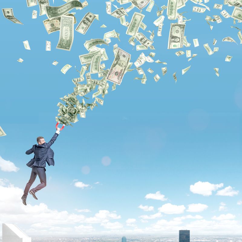 Erfolgsmagnet Flush - Manuela Fasoli Erfolgsmagnet Flush - Manuela Fasoli