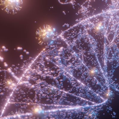 Persönliche DNA Karma Bildung - Manuela Fasoli - 2020