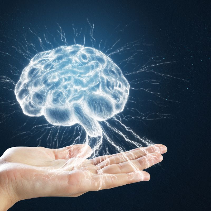 Gehirn Hilfe Flush -  Manuela Fasoli - 2021